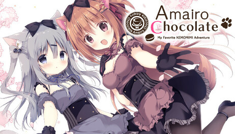 Купить Amairo Chocolate