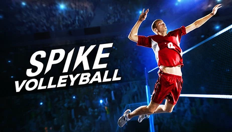 Купить Spike Volleyball