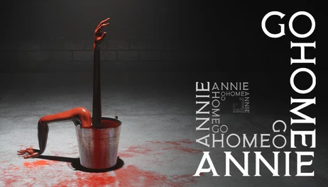 Купить Go Home Annie