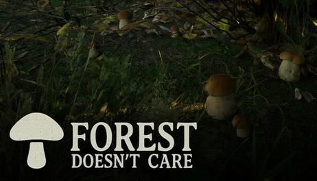 Купить Forest Doesn’t Care
