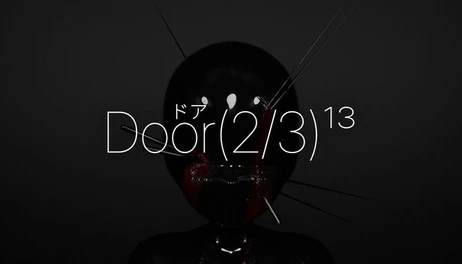 Купить Door(2/3)¹³