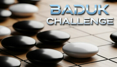 Купить Baduk Challenge