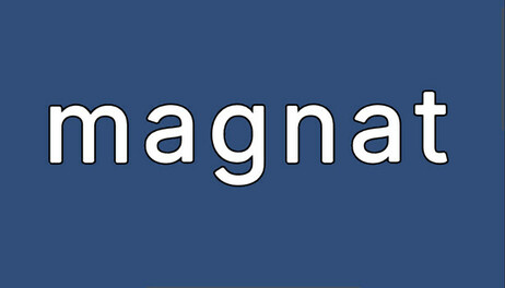 Купить magnat