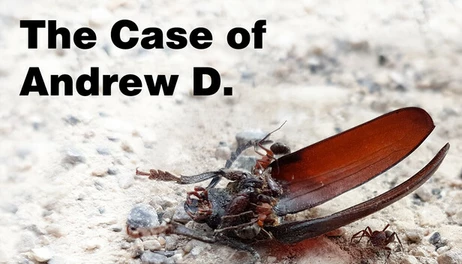 Купить The Case of Andrew D.