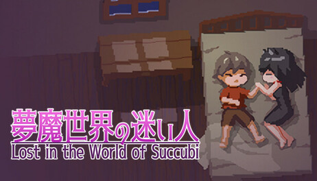 Купить Lost in the World of Succubi