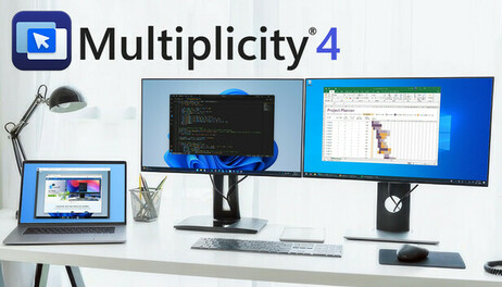 Купить Multiplicity 4