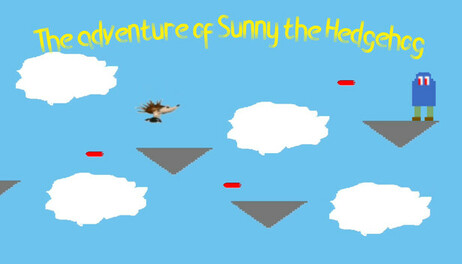 Купить The Adventure of Sunny the hedgehog