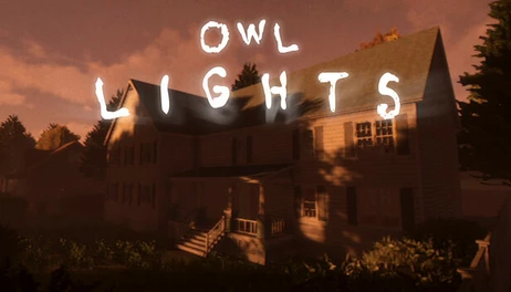 Купить Owl Lights