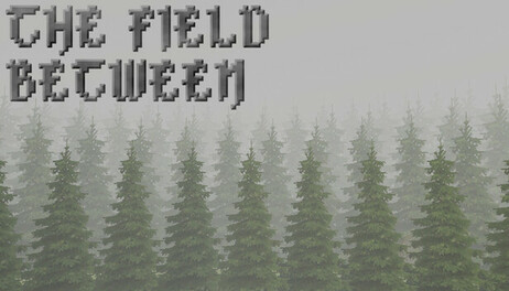 Купить The Field Between