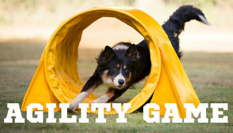 Купить Agility Game