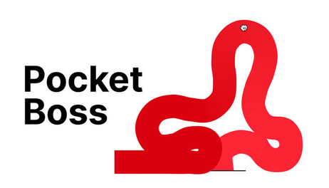 Купить Pocket Boss