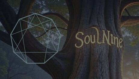 Купить Soul Nine