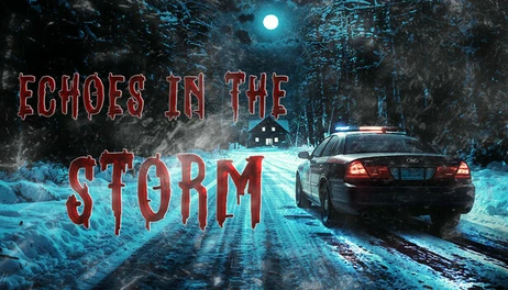 Купить Echoes in the Storm