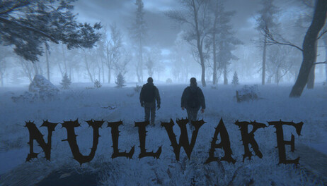 Купить Nullwake