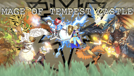 Купить Mage of Tempest Castle