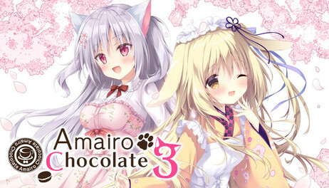 Купить Amairo Chocolate 3