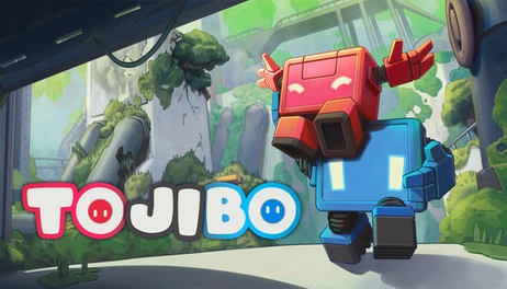 Купить TOJIBO