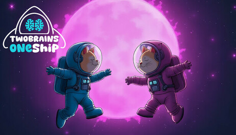 Купить TwoBrains OneShip