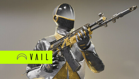 Купить VAIL VR AESIR Character and Weapon Bundle