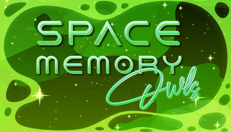 Купить Space Memory: Owls