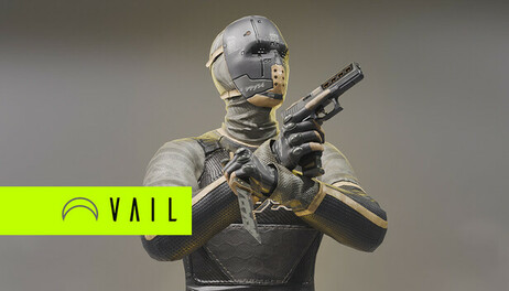 Купить VAIL VR NYX Character and Weapon Skin Bundle