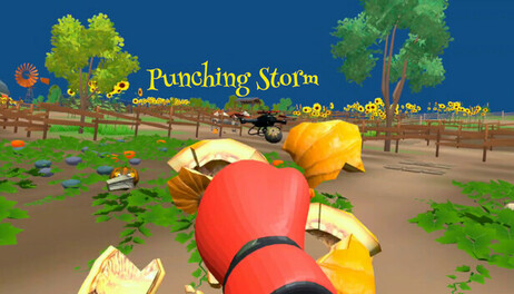 Купить Punching Storm