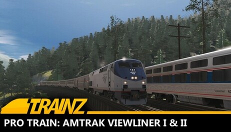 Купить Trainz 2022 DLC - Pro Train: Amtrak Viewliner I & II