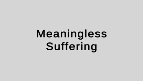 Купить Meaningless Suffering