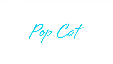 Купить Pop Cat