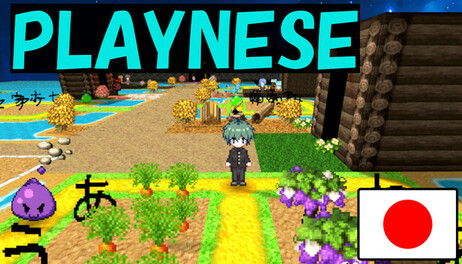 Купить PLAYNESE: Master Japanese