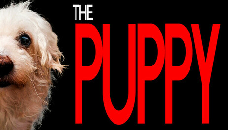 Купить The Puppy
