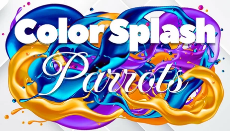 Купить Color Splash: Parrots