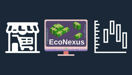 Купить econexus_game