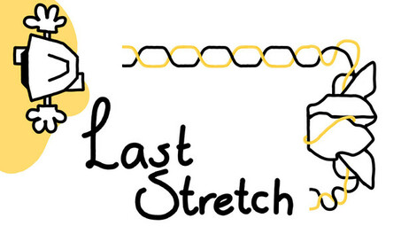 Купить Last Stretch