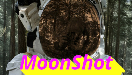 Купить MoonShot