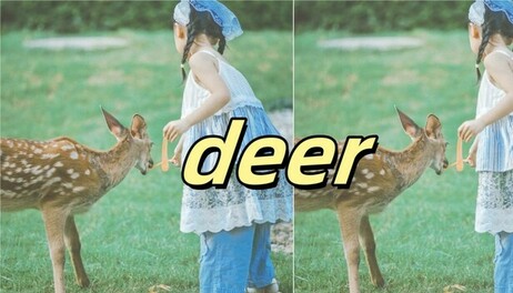 Купить deer