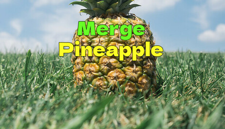 Купить Merge Pineapple