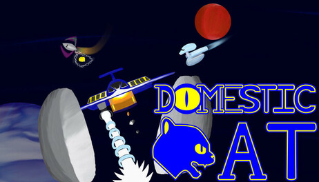 Купить Domestic Cat