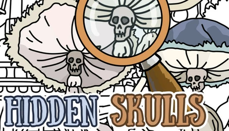 Купить Hidden Skulls