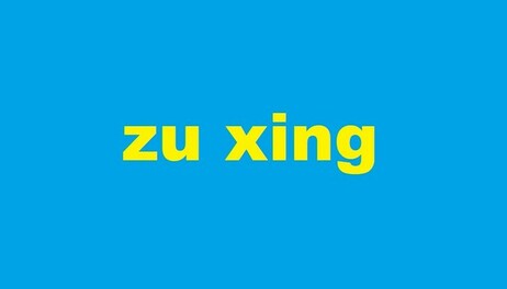 Купить zu xing
