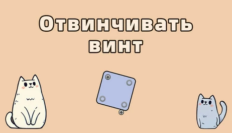 Купить Screw Puzzle Master