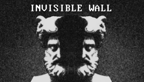 Купить Invisible Wall