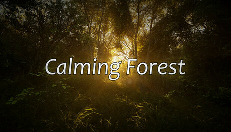 Купить Calming Forest