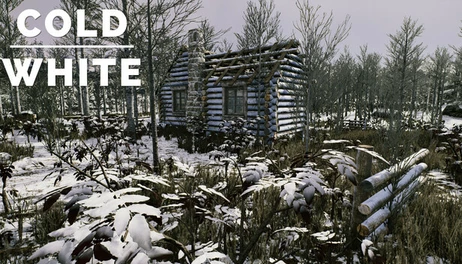Купить The Cold White