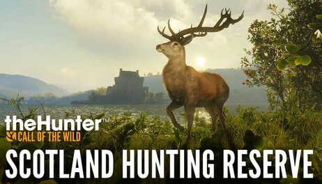 Купить theHunter: Call of the Wild - Scotland Hunting Reserve