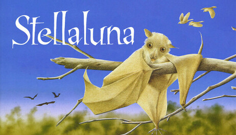 Купить Stellaluna