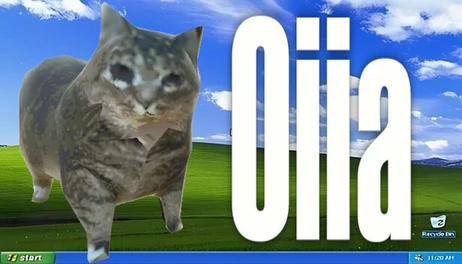Купить oiia