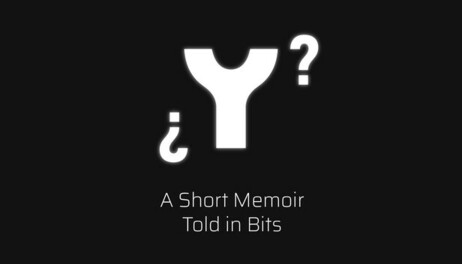Купить ¿ Y ? A Short Memoir Told in Bits