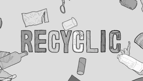 Купить Recyclic