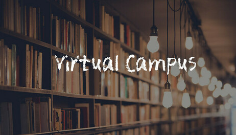 Купить Virtual Campus